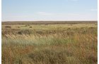 Property photo 46 - LAND AUCTION, 3255+/- Acres offered in 13 Tracts